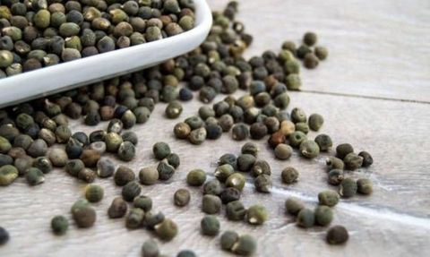 Bamya Tohumunun Faydaları ve Zararları