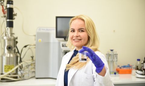 Hitit Üniversitesi'nde Zedeli Elmalardan Doğal Boya Üretildi