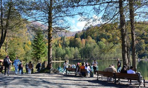 Borçka Karagöl Tabiat Parkı, 600 Bin Turiste Ev Sahipliği Yaptı