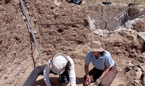 Gökçeada'nın Tarım ve Hayvancılık Geçmişi: 8 Bin 800 Yıl Önceye Uzanan İzler