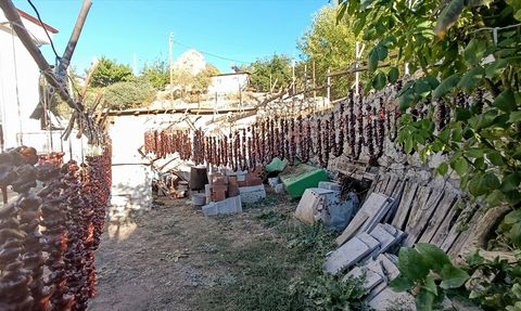 Tunceli'de Geleneksel Lezzet Orcik Üretimi Başladı