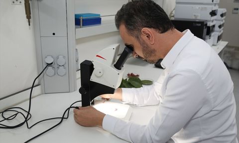 Bursa Teknik Üniversitesi’nde Diyabet Hastalarına Özel Gıda Kaplaması Geliştirildi