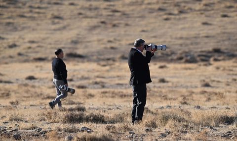 Nadir Dağ Cılıbıtı Kuşu Şanlıurfa'da Görüldü