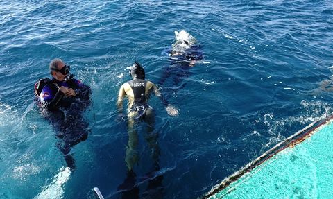 Şahika Ercümen Ayvalık'ta Kırmızı Mercanları Tanıttı