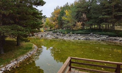 Sonbahar Renkleriyle Bezenmiş Japon Bahçesi