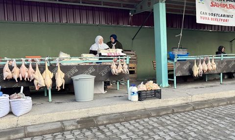 Eflani Hindisi Yeni Yıla Hazır