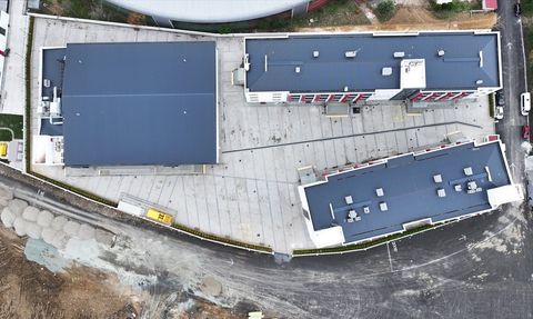 Geleceğin Sporcuları Trabzon'da Yetişiyor