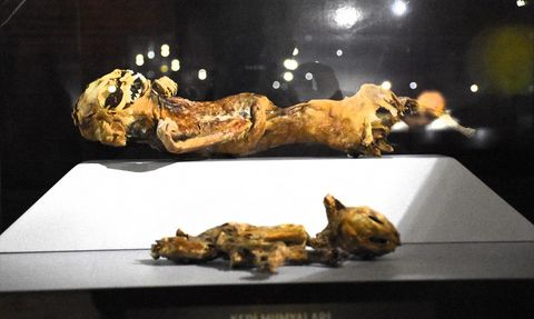 Aksaray Müzesi Yılda 20 Binin Üzerinde Ziyaretçi Ağırladı