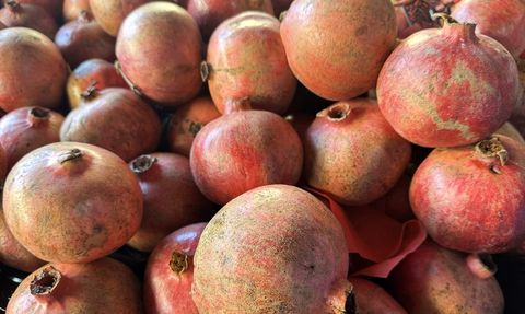 Antalya, Türkiye'nin Sebze İhracatında Lider