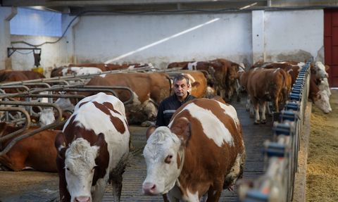 Çorum'da İki Kardeşin Hibe Destekli Çiftlik Başarısı