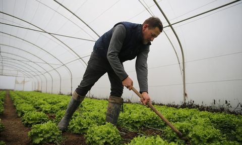 Edirne'de Seracılık Destekleri Üreticiyi Sevindirdi