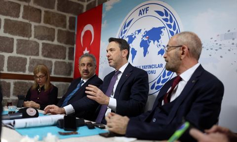 Elektrikte Sübvansiyon Düzenlemesi