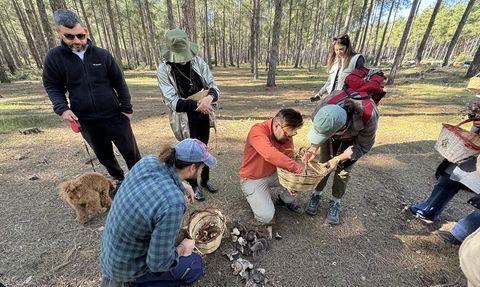 Mantar Meraklıları Antalya'da Bir Araya Geldi