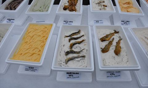 Ordu'da 1301 Çeşit Dondurma Guinness Rekoru Kırıldı