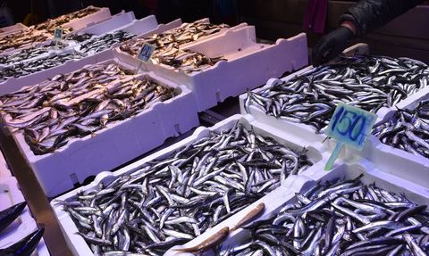 Trabzon'da Balık Fiyatları