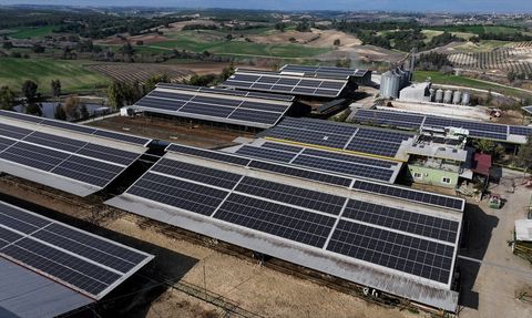 Adana'daki Çiftlikte Doğal Enerji ve Gübre Yönetimi