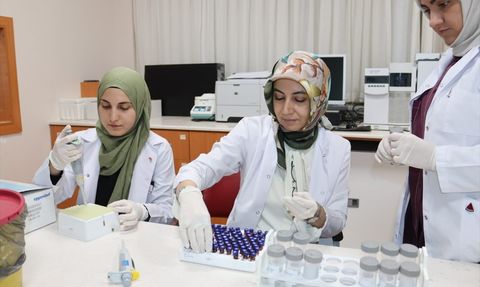 Bağırsak Sağlığı ve Uyku İlişkisi: Selçuk Üniversitesi Çalışması