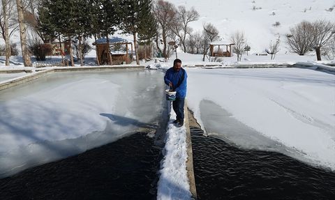 Bayburt'ta Alabalık Üreticilerinin Zorlu Mücadelesi