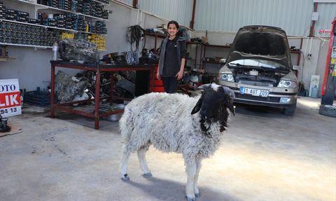 14 Yaşındaki Nehir'in Kuzağı Şakir ile Dostluğu