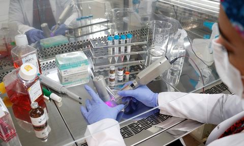 Biyoteknoloji Firması Yeni Biyokalem ile Dokuları Onarıyor