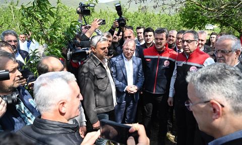 Bursa'da Zirai Dondan Etkilenen Alanlar İncelendi