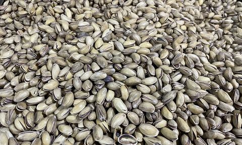 Şanlıurfa'da Lisanslı Fıstık Deposu İnşası Başlıyor