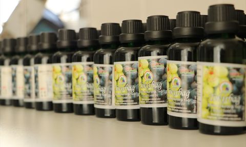 Tekirdağ'da Üzüm Çekirdekleri Ekonomiye Kazandırılıyor