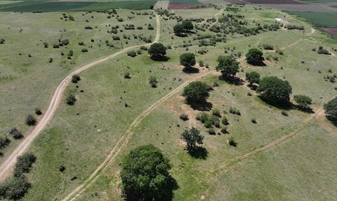 Edirne'de Meralara Sulama Sistemi Getiriliyor