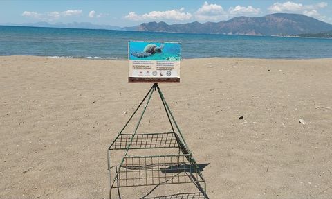 İztuzu Plajı'nda Caretta Caretta Yuvaları Artıyor