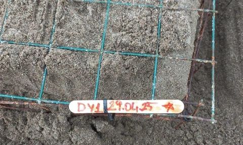 Muğla'nın İztuzu Sahili'nde Caretta Caretta Yumurtaları Koruma Altında