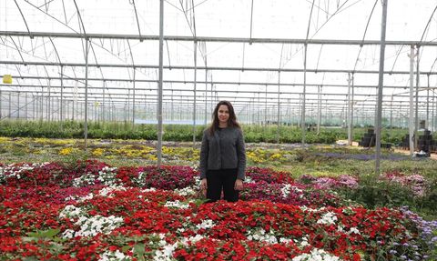 Yenilebilir Menekşelerle Tarımda Yeni Bir Dönem