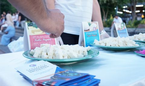Çanakkale'de 'Bilim Kafe' Etkinliği: Anne Sütünün Önemi Vurgulandı