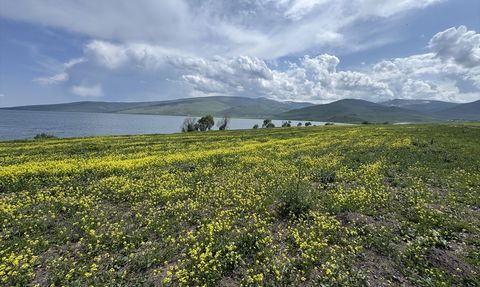 Çıldır Gölü'nde Bahar Tüm Güzelliğiyle Kendini Gösterdi