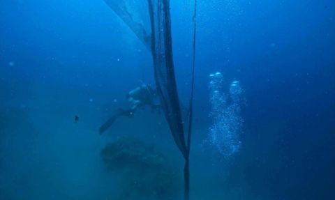 Ege ve Marmara Denizi'nde Hayalet Ağ Temizliği