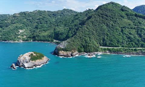 Hoynat Adası: Ordu'nun Doğal Güzellikleriyle Dolu Cenneti