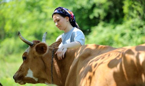 Şampiyon Wushu Sporcusu Berrin Tazıcı'nın Milli Forma Heyecanı