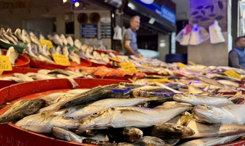Trabzon'da Balık Tezgahlarında Fiyatlar Düşüyor