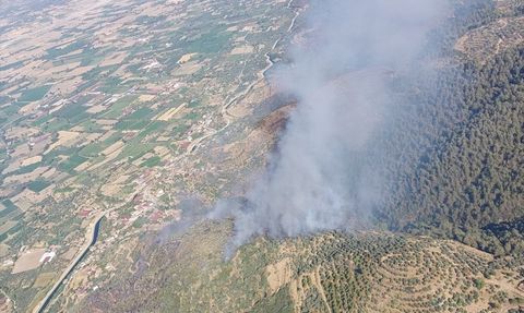 Aydın Bozdoğan'da Tarım Alanında Yangın