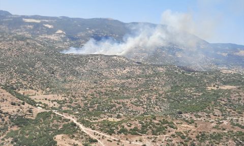 Aydın Çine'de Tarım Alanında Yangın Çıktı