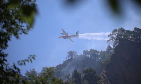 Aydın'da Tarım Alanında Yangın: Müdahale Devam Ediyor