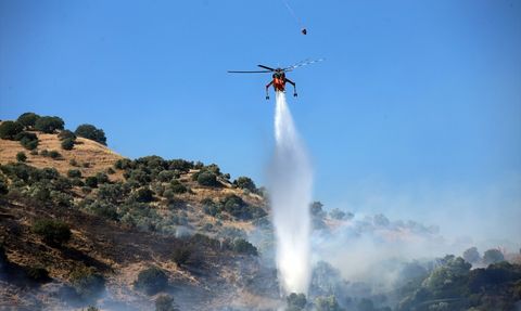Aydın'da Zeytinlik Yangını: Baba ve Oğul Gözaltına Alındı