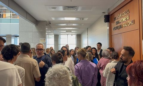 Ayşe Barım, Gezi Parkı Davasında Hakim Karşısında