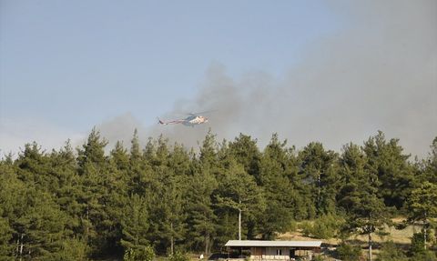 Balıkesir Dursunbey'deki Orman Yangını Kontrol Altına Alındı
