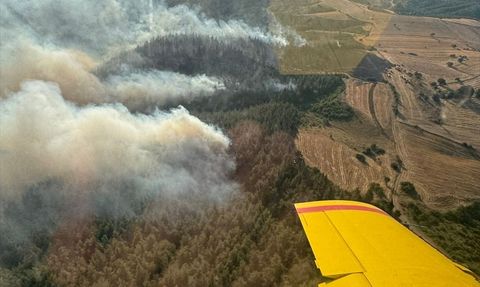 Balıkesir'de Orman Yangınına Hızlı Müdahale