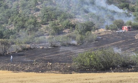 Bayat’ta Anız Yangını Ormanlık Alana Sıçradı