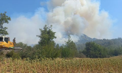 Bilecik'te Tarım Arazisinde Yangın