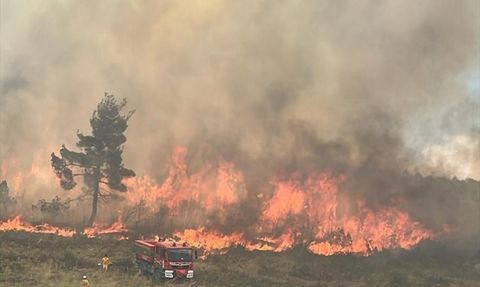 Bilecik'te Orman Yangını Kontrol Altına Alınıyor