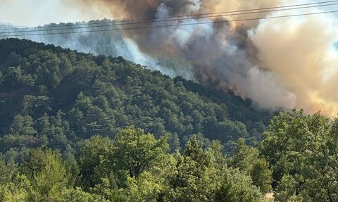 Bolu Göynük'te Orman Yangınına Müdahale Devam Ediyor