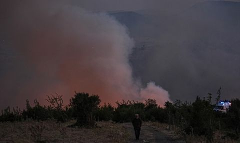 Bursa-Balıkesir Sınırında Orman Yangını: Müdahale Devam Ediyor