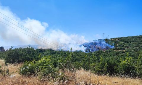 Bursa'da Orman Yangınına Müdahale Başlatıldı